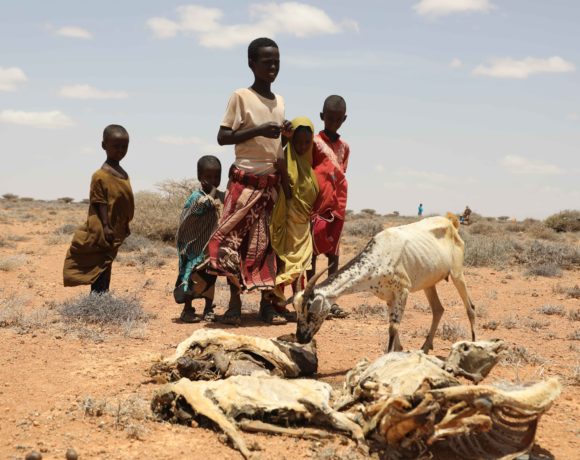 Horn von Afrika: Islamic Relief intensiviert die humanitäre Hilfe in der Region.